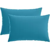 vidaXL Kussensloop 2 st HEERLEN Lichtblauw 50 x 75 cm Polyester