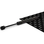 RIDEX 219G1467 Gasveer achterklep