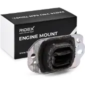 RIDEX 247E1017 Motorsteunlager