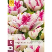 JUB Tulipa double shake bloembol 5 stuks