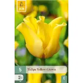 JUB Tulipa yellow crown 5st
