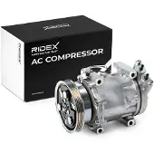 RIDEX 447K1487 Aircopomp