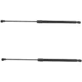 RIDEX 219G3145 Gasveer achterklep