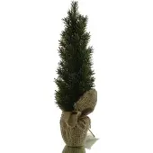 Kaemingk Kerstdecoratie dennenboom groen in jutezak 42 cm