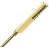 Hansgrohe Pulsify E handdouche 1jet EcoSmart polished gold