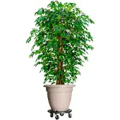 vidaXL Plantentrolleys met wielen 5 st 275 kg diameter 40 cm zwart