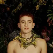 POLYDOR Palo Santo