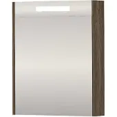 Proline SPK Premium Spiegelkast LED 60x14x74 cm Vital Oak