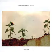 Bigwax Dis Cnt Morgan Noise - Something Built, Something Remembered (LP)