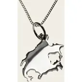 MOOYE ® - Collectie Zilveren Landkaart Noord Amerika ketting hanger