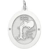 MOOYE ® - Collectie Zilveren Sterrenbeeld waterman ovaal kettinghanger
