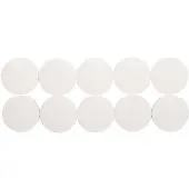 MAUL Magneet rond 10 stuks 2,5 kg kunststof Ferriet bruchsicher erodiert lackiert Ø 3.8 x 1.55 cm wit