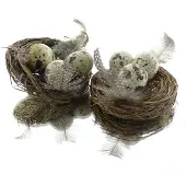 Kaemingk Nest Op Draad Met 3 Eieren, 2 In Doos