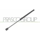PRASCO FD0069055 Gasveer achterklep