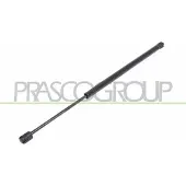 PRASCO RN0349055 Gasveer achterklep