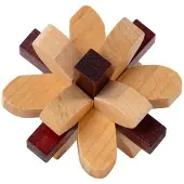 Recent toys Parietal Lobe - Houten breinbreker puzzel - Stimuleert zintuigen en logisch denken