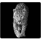Kesper Multifunctioneel glazen snijplank, afdekplaat, Leopard, 56x50cm