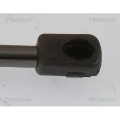 TRISCAN 8710 43251 Gasveer achterklep
