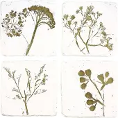 Meander Onderzetters Bloemen reliëf, s/4 9,8x0,7x9,8cm