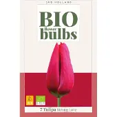 JUB Tulipa strong love bio bloembol 7 stuks