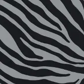 2lif Zebra Zelfklevende Folie Mini rol grijs 45cmx2mtr
