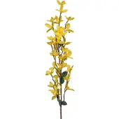Gasper Forsythia geel grootbloemig 67 cm
