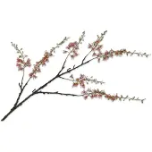 Silk-ka Kunstbloem-Zijden Capparis Tak Groen-Roze 131 cm