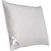 Ducky Dons hoofdkussen Ducky 1400 gram - 70 x 60 cm