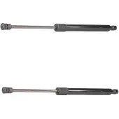 RIDEX 219G3148 Gasveer achterklep