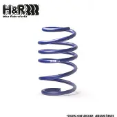 H&R 28616HA3 Chassisveer