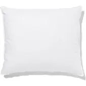 HEMA Hoofdkussen 60x70 recycled dons (wit)