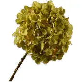 Silk-ka Kunstbloem-Zijden Bloem Hortensia Steel Groen 70 cm