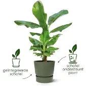 Elho Greenville Rond 40 - Grote Bloempot voor Buiten met Waterreservoir - 100% Gerecycled Plastic - Ø 39 x H 36.8 cm - Vintage pruim