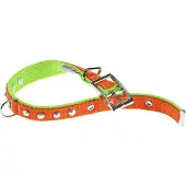 Ferplast Dual 25 Mm 45 Cm Hondenhalsband