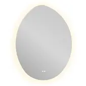 Proline Limone Spiegel Organisch LED Frame 70x3x90 cm Spiegel