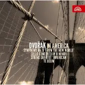 DISTRART M CNT Various Artists - Dvořák: In America (3 CD)