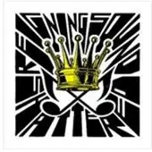 Konkurrent Reigning Sound - Shattered (CD)