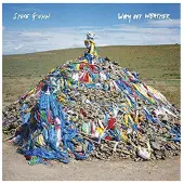 Konkurrent Steve Gunn - Way Out Weather (CD)