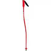 Rossignol Hero Gs-sg Junior Stokken