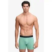 Superdry Boxershorts lichtgrijs / kiwi / appel / donkergroen