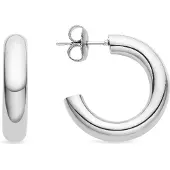 Luxenter Oorbellen 'Shiwa' zilver