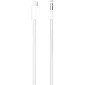 Apple Câble audio USB-C vers Jack 3,5 mm 1,2 m Blanc