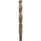 Bosch 2609255086 2609255086 HSS Metaal-spiraalboor 13 mm Gezamenlijke lengte 151 mm Kobalt DIN 338 Cilinderschacht 1 stuk(s)