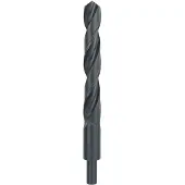 Bosch 2609255028 2609255028 HSS Metaal-spiraalboor 20 mm Gezamenlijke lengte 205 mm Rollenwals DIN 338 Cilinderschacht 1 stuk(s)