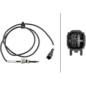 Hella Temperatuursensor uitlaat Ford Transit 2.2 TDCi (modeljaren vanaf 2011)