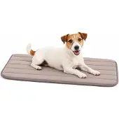 Flamingo Hondenkussen – Hondenmand – Orthopedisch Xana Rechthoekig Taupe S – 70,5x41,5cm – memory foam – comfortabele ligplaats – perfect voor hondenbench