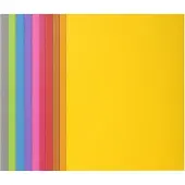 Exacompta Rock's 210 inlegmap A4 assorti (100 stuks)