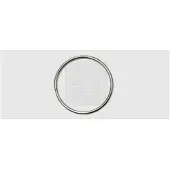 Swg 68455230 VN16mm Sleutelring Zilver 50 stuk(s)