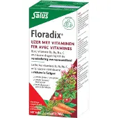 Salus Floradix IJzer Tabletten