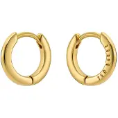Ted Baker Oorbellen goud